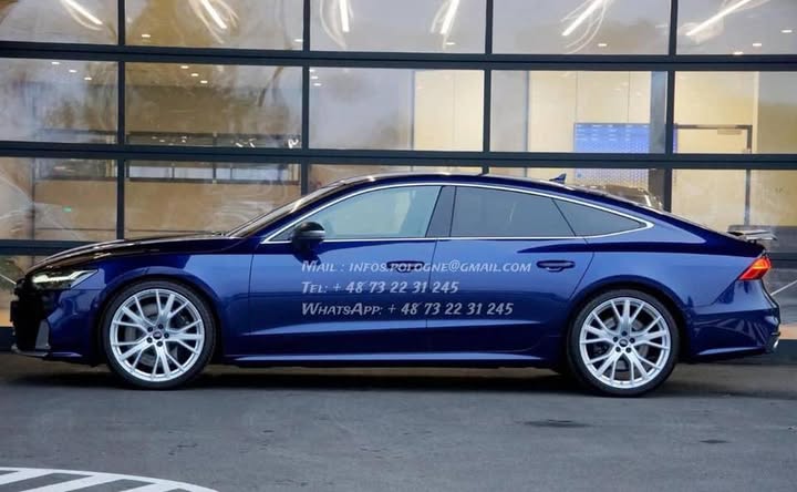 FB_IMG_1764144246405