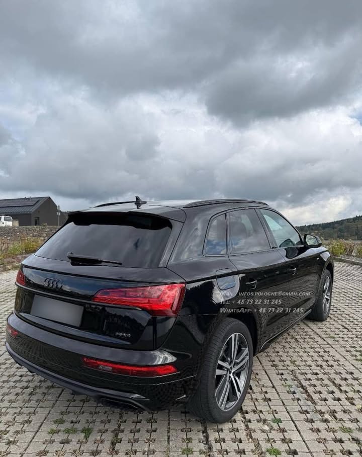 FB_IMG_1764145765439