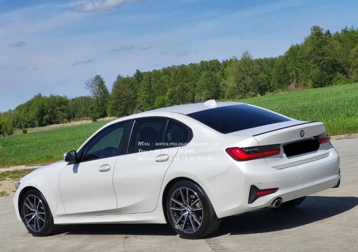 FB_IMG_1764243527768