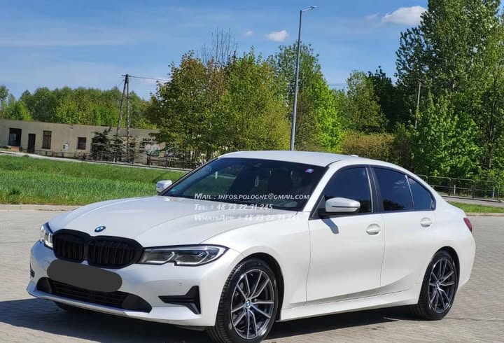 FB_IMG_1764243594380