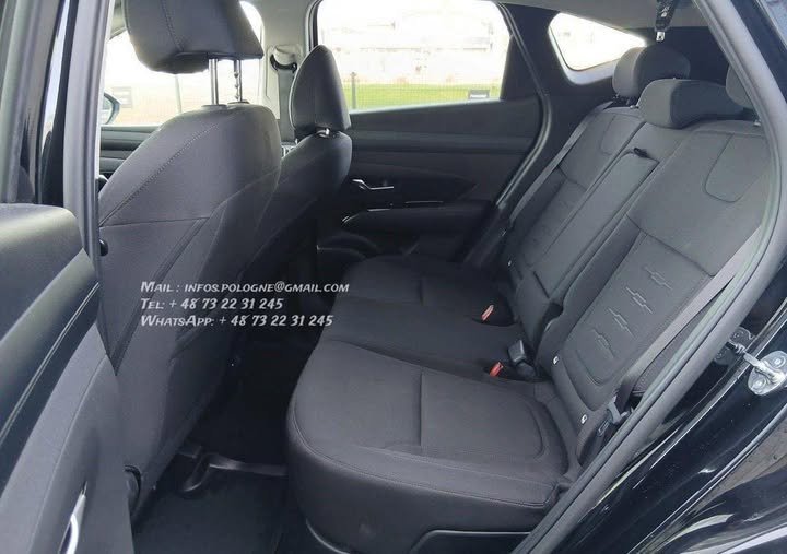 FB_IMG_1765739489378