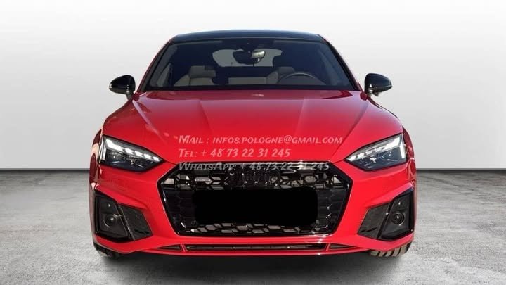 FB_IMG_1765780484574