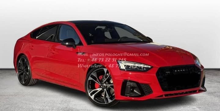 FB_IMG_1765780490650