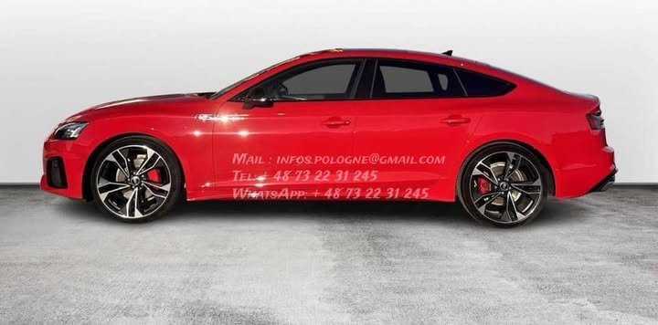 FB_IMG_1765780492999