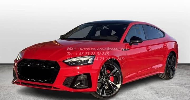 FB_IMG_1765780495006