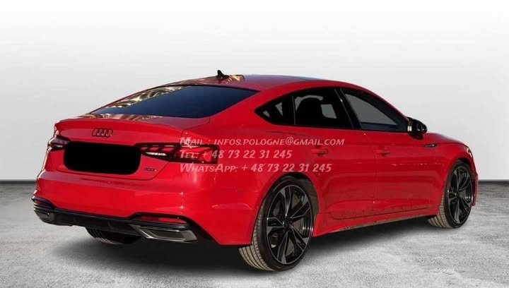 FB_IMG_1765780502378