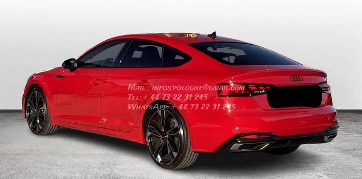 FB_IMG_1765780506348