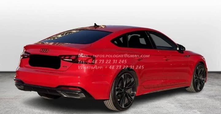 FB_IMG_1765780558097