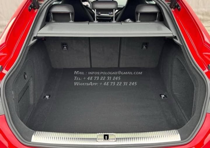 FB_IMG_1765780562027