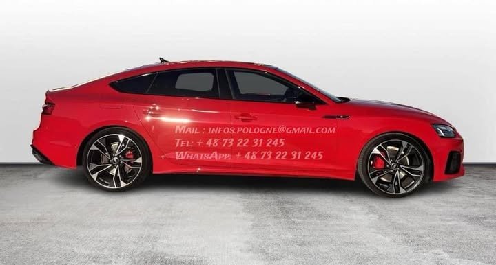 FB_IMG_1765780569067