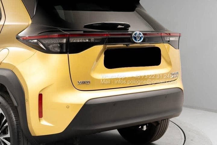 FB_IMG_1765781635245