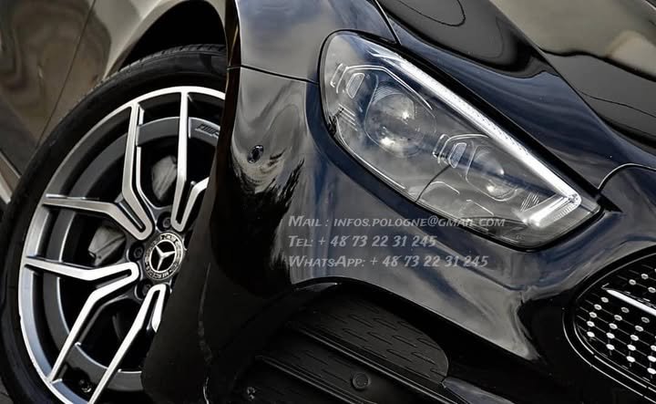 FB_IMG_1765798007304