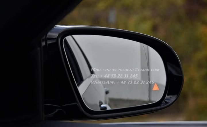 FB_IMG_1765798045591