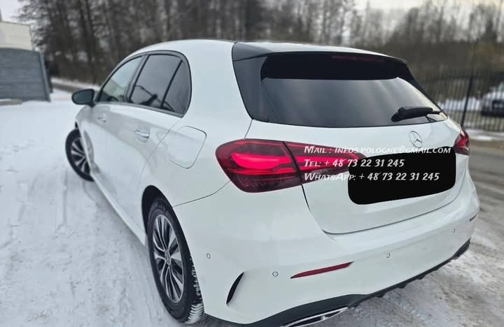 FB_IMG_1765800152232