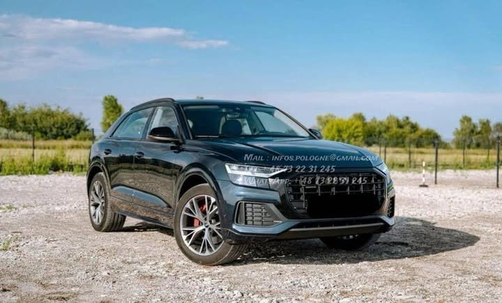 FB_IMG_1766024404272