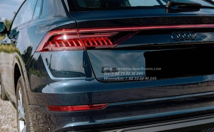 FB_IMG_1766024406028