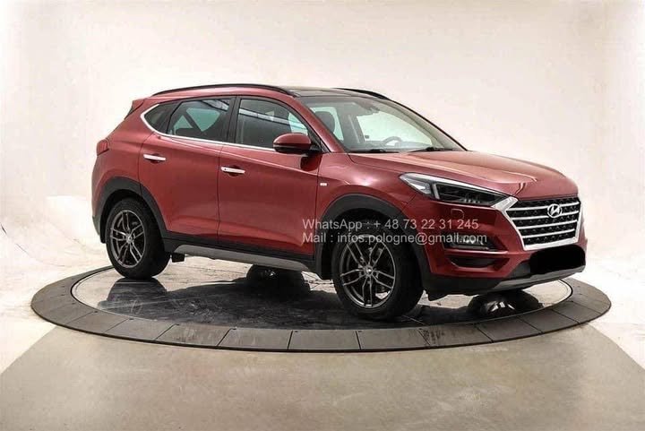 FB_IMG_1766040311511