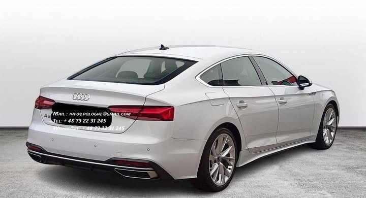 FB_IMG_1766535522265