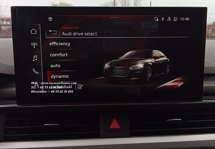 FB_IMG_1766535524651