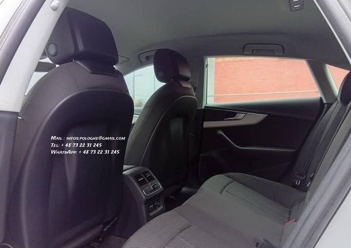 FB_IMG_1766535618296