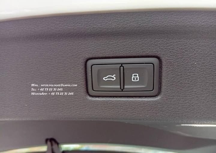 FB_IMG_1766535637447