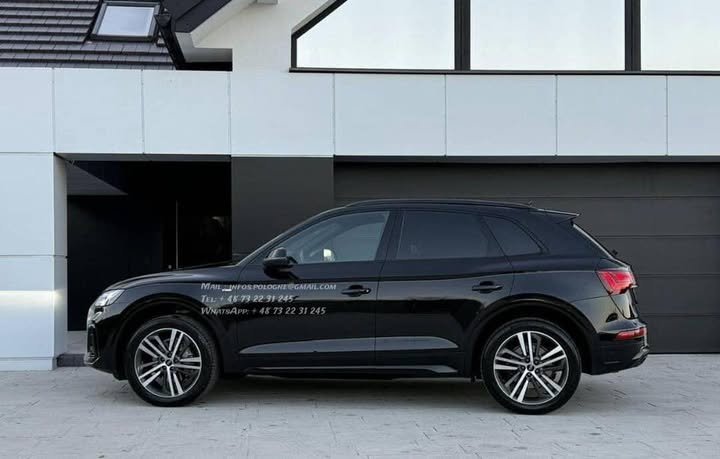 FB_IMG_1766536428072