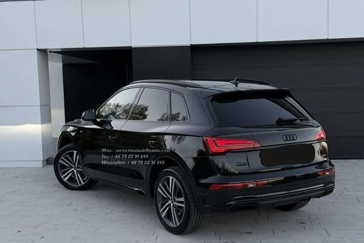 FB_IMG_1766536434576