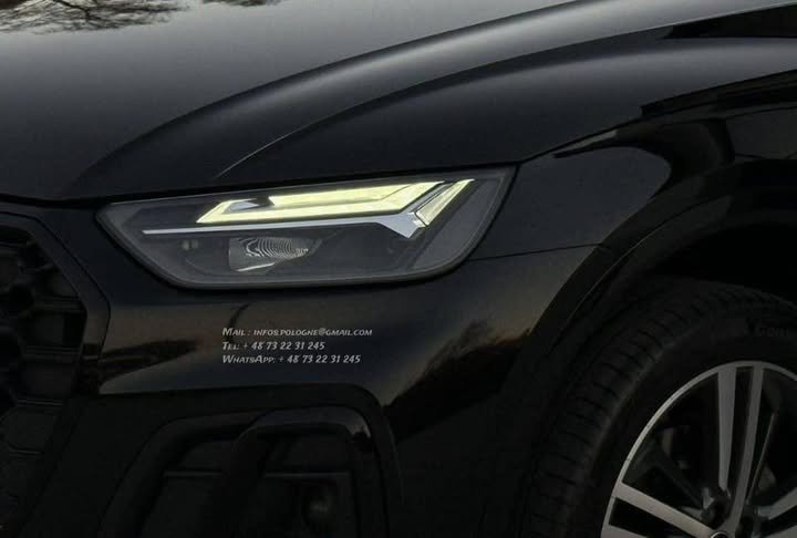 FB_IMG_1766536437199