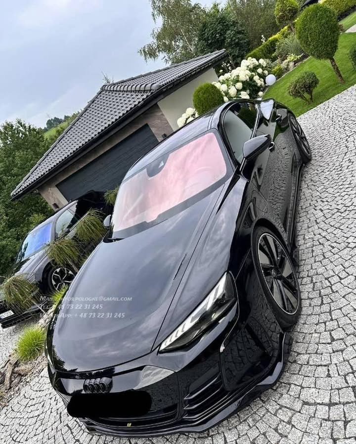 FB_IMG_1766537040282