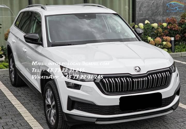 FB_IMG_1766701570796