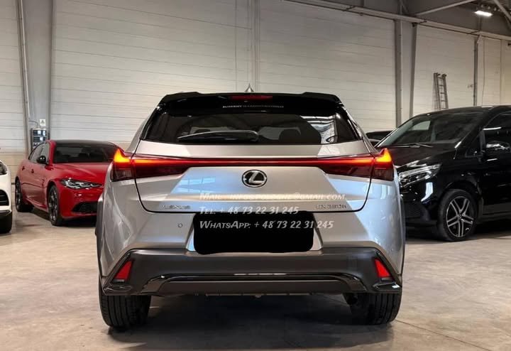 FB_IMG_1767405595335