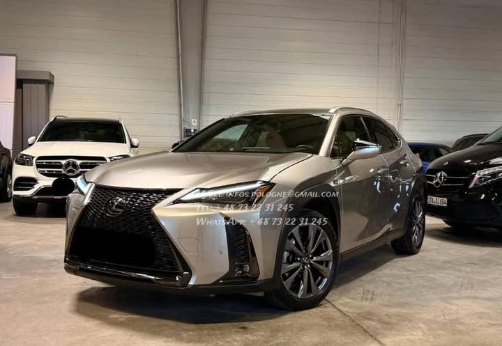 FB_IMG_1767405597259