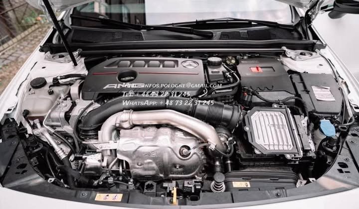 FB_IMG_1768007616235