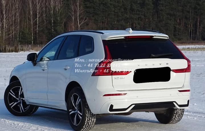 FB_IMG_1768079175826