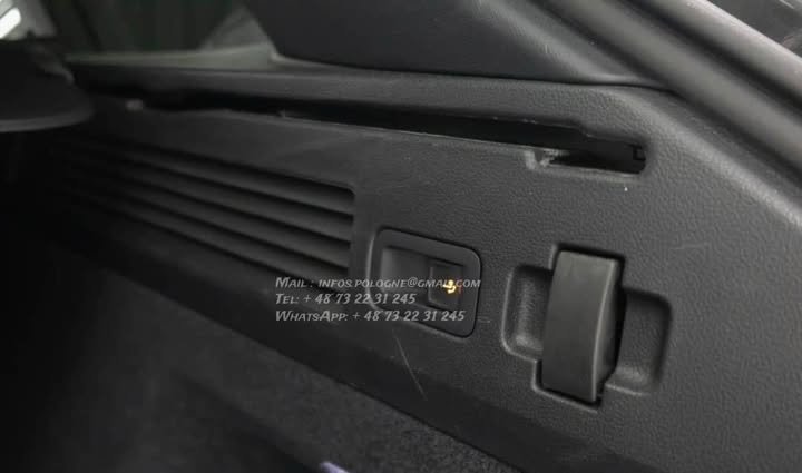 FB_IMG_1769124228647