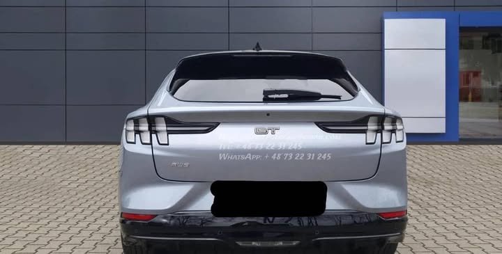 FB_IMG_1769213781146