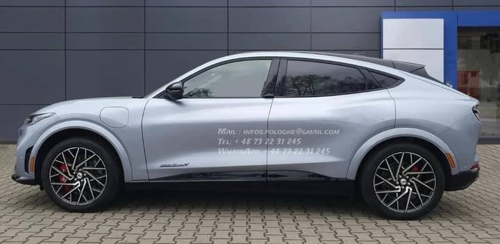 FB_IMG_1769213783420