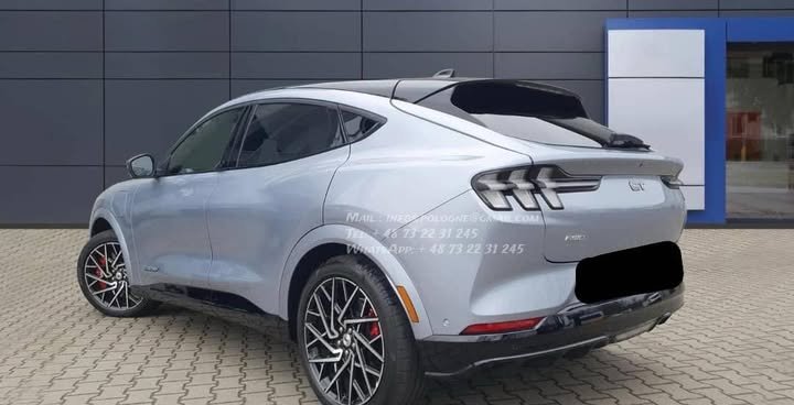 FB_IMG_1769213785644