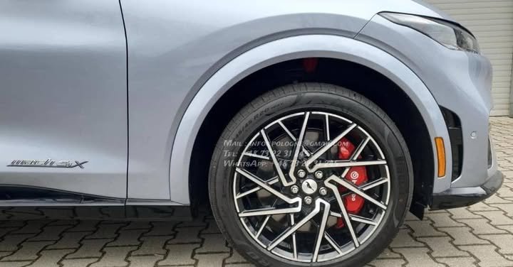 FB_IMG_1769213803889