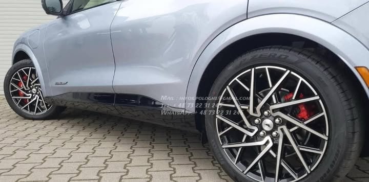 FB_IMG_1769213809373