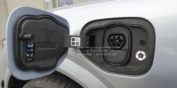 FB_IMG_1769213855492