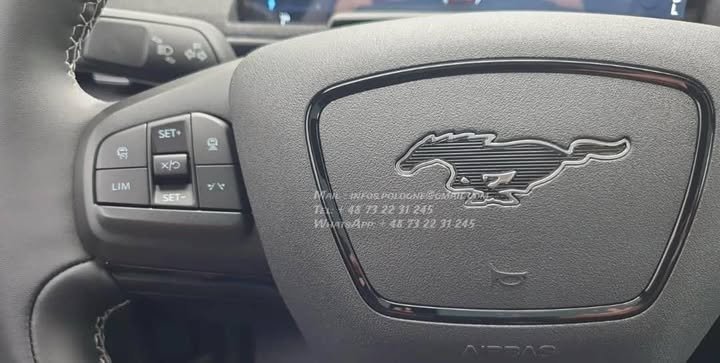 FB_IMG_1769213864104