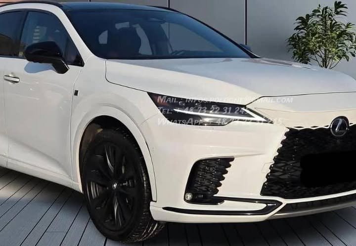 FB_IMG_1769215309344