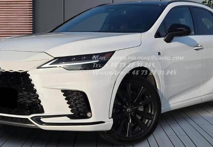 FB_IMG_1769215312605