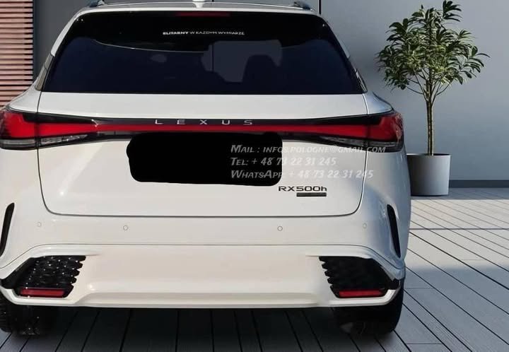 FB_IMG_1769215320514