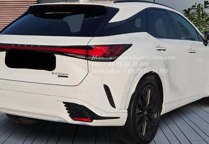 FB_IMG_1769215343321