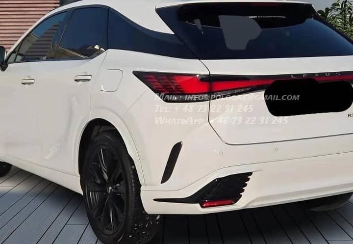 FB_IMG_1769215345631