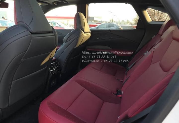 FB_IMG_1769215462424