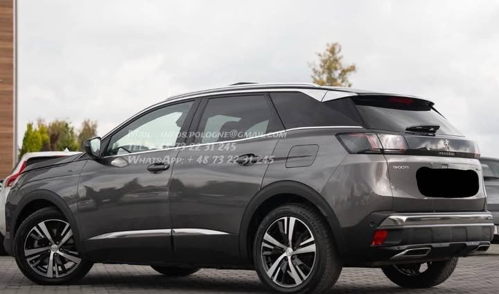 FB_IMG_1769219096998