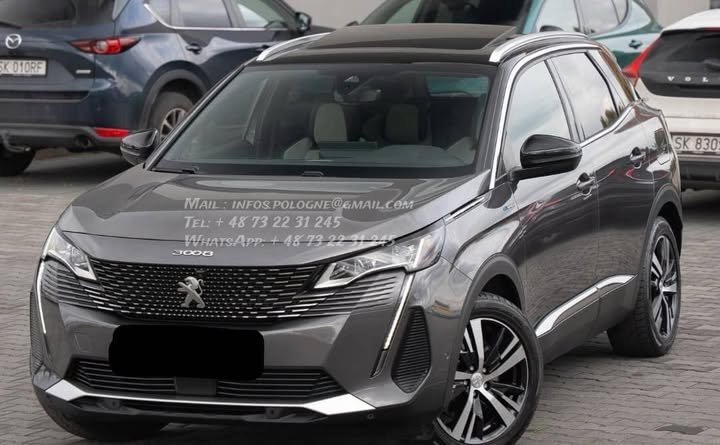 FB_IMG_1769219155734